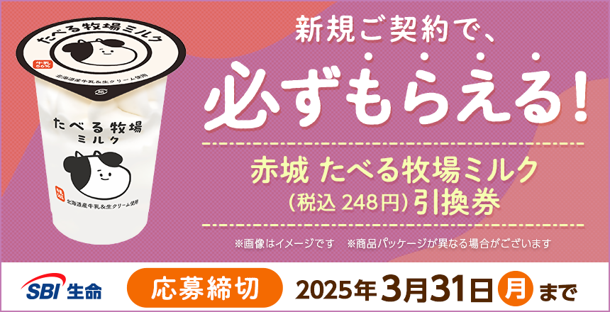 SBI生命の定期保険プログラム | NEOBANK 住信SBIネット銀行