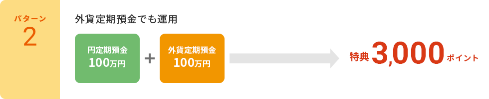 【パターン2】外貨定期預金でも運用「円定期預金　100万円」「外貨定期預金　100万円」→特典3,000ポイント