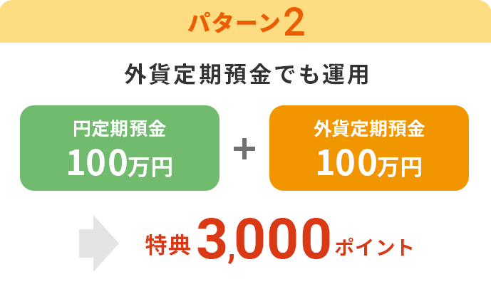 【パターン2】外貨定期預金でも運用「円定期預金　100万円」「外貨定期預金　100万円」→特典3,000ポイント