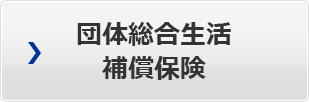 団体総合生活補償保険