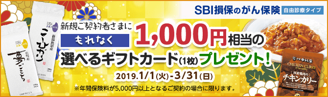 【がん保険】SBI損保のがん保険(自由診療タイプ)のご契約で1,000円相当の選べるギフトカード(1枚)をプレゼント!