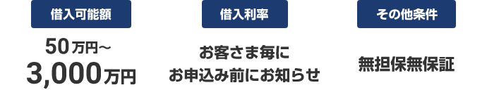 借入可能額:50万~3,000万円 借入利率:お客さま毎にお申込み前にお知らせ その他条件:無担保・無保証