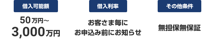 借入可能額:50万～3,000万円 借入利率:お客さま毎にお申込み前にお知らせ その他条件:無担保・無保証