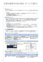 住信SBIネット銀行株式会社 中間期ディスクロージャー誌2013