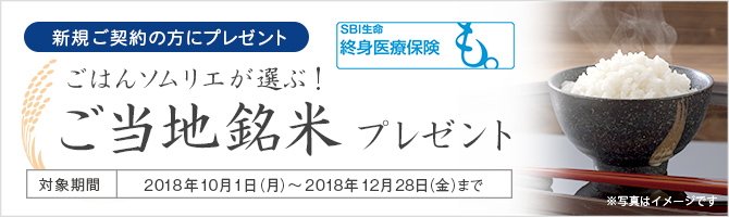 SBI生命終身医療保険「も。」新規ご契約で新潟魚沼産「こしひかり」（300g）プレゼント！